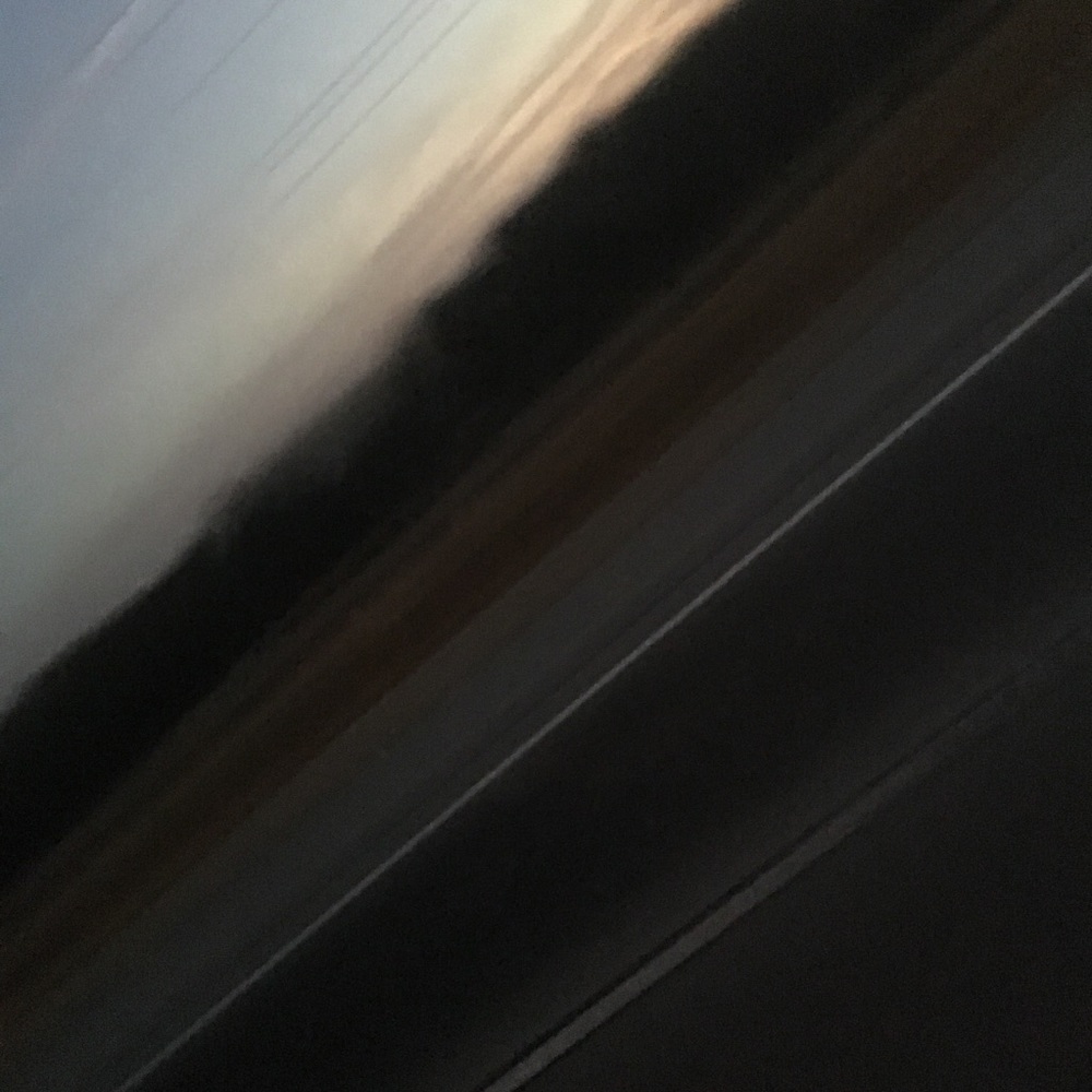 Meet your Posher, Dannilynn